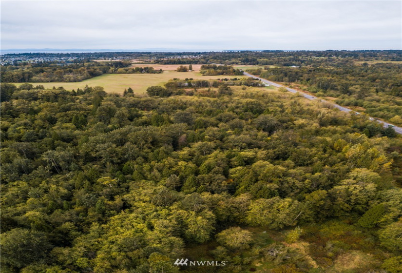 2 Lincoln, Blaine, Washington 98230, ,Land,For Sale,Lincoln,NWM1367742