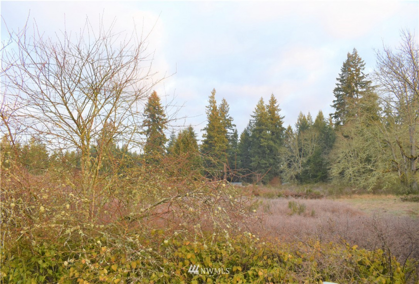 0 XX State Route 507, Yelm, Washington 98597, ,Land,For Sale,XX State Route 507,NWM1746157