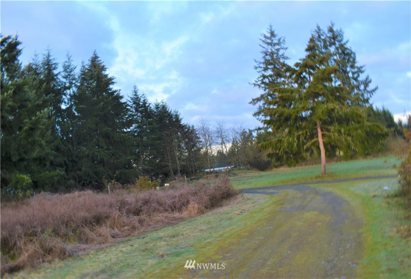 0 XX State Route 507, Yelm, Washington 98597, ,Land,For Sale,XX State Route 507,NWM1746157