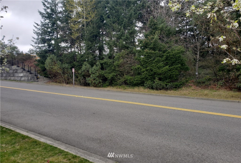 33301 Pacific, Federal Way, Washington 98003, ,Commercial Sale,For Sale,Pacific,NWM1753016