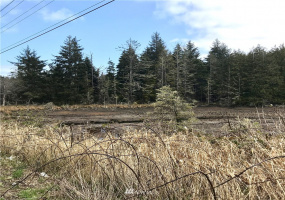 0 SR 105, Ocosta, Washington 98520, ,Land,For Sale,S 520