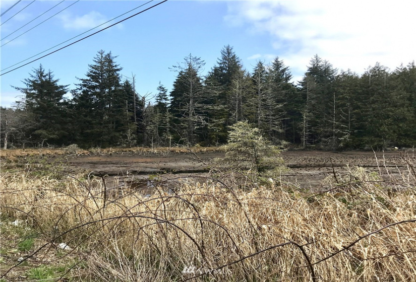 0 SR 105, Ocosta, Washington 98520, ,Land,For Sale,S 520