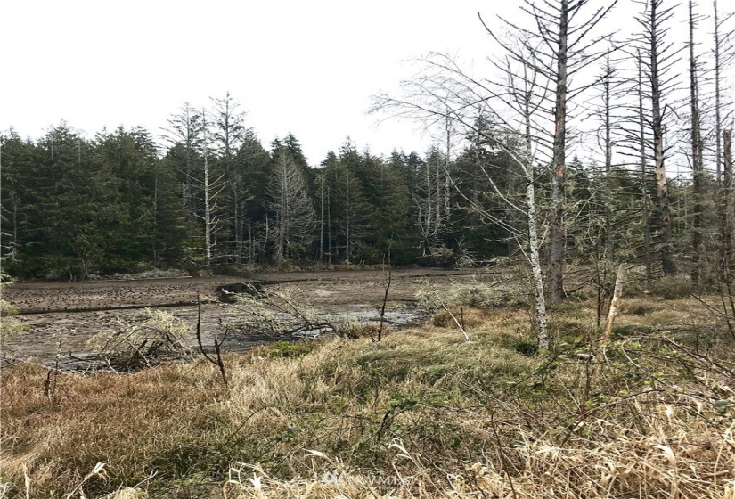 0 SR 105, Ocosta, Washington 98520, ,Land,For Sale,S 520