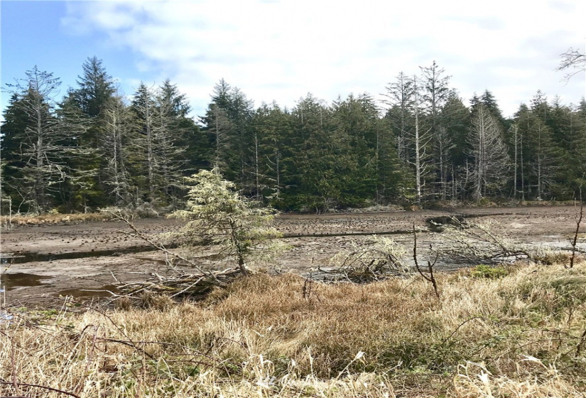 0 SR 105, Ocosta, Washington 98520, ,Land,For Sale,S 520