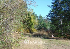 0 Trudeau Mountain, Belfair, Washington 98528, ,Land,For Sale,Trudeau Mountain,NWM1747524