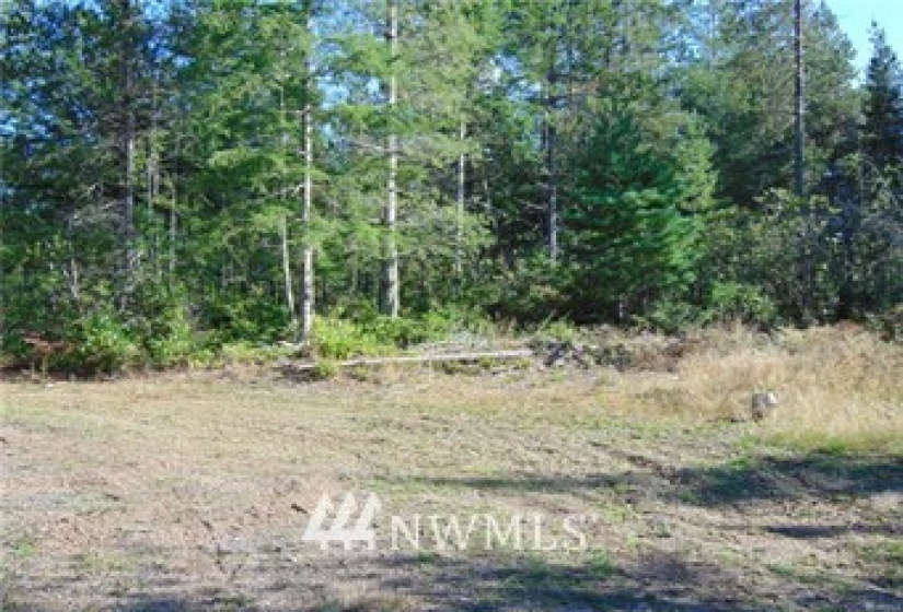 0 Trudeau Mountain, Belfair, Washington 98528, ,Land,For Sale,Trudeau Mountain,NWM1747524