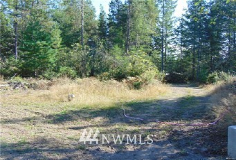 0 Trudeau Mountain, Belfair, Washington 98528, ,Land,For Sale,Trudeau Mountain,NWM1747524