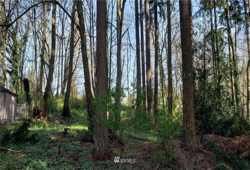 8 XX Maple, Kent, Washington 98030, ,Land,For Sale,Maple,NWM1753859