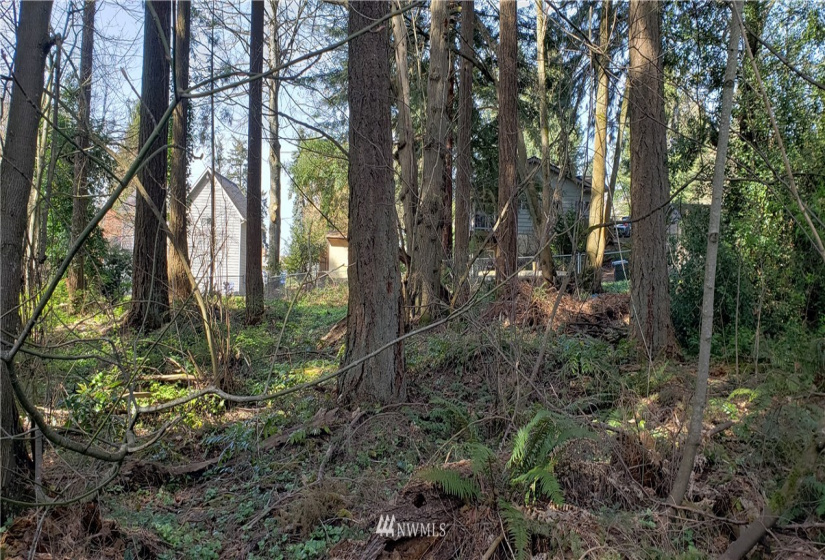8 XX Maple, Kent, Washington 98030, ,Land,For Sale,Maple,NWM1753859
