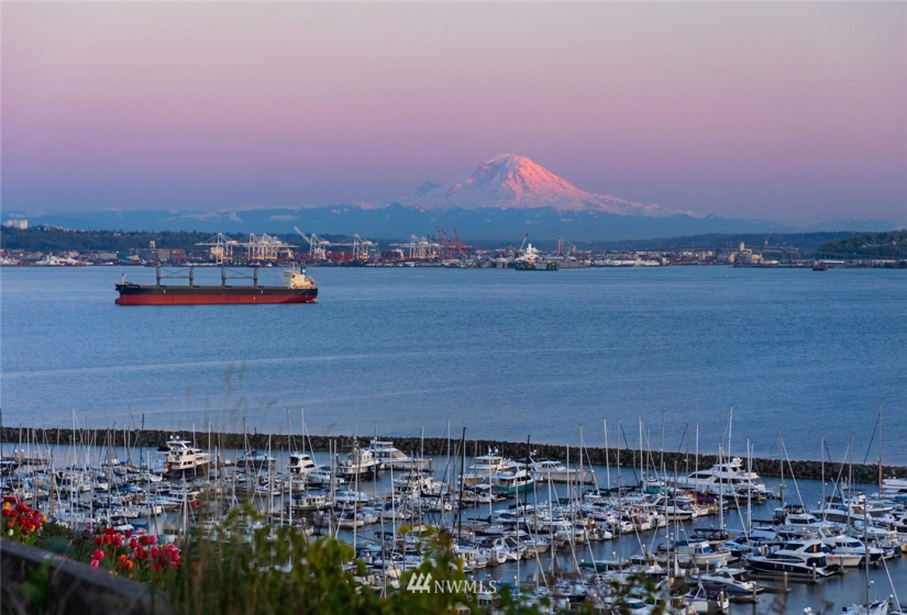 2800 Marina, Seattle, Washington 98199, ,Land,For Sale,Minors Addition,Marina,NWM1750395