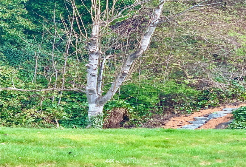 2800 Marina, Seattle, Washington 98199, ,Land,For Sale,Minors Addition,Marina,NWM1750395