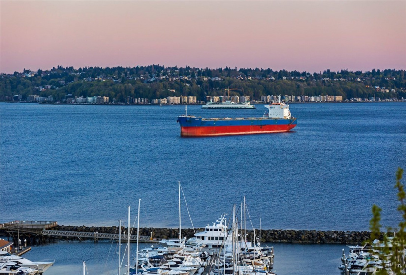 2800 Marina, Seattle, Washington 98199, ,Land,For Sale,Minors Addition,Marina,NWM1750395