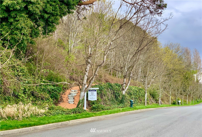 2800 Marina, Seattle, Washington 98199, ,Land,For Sale,Minors Addition,Marina,NWM1750395