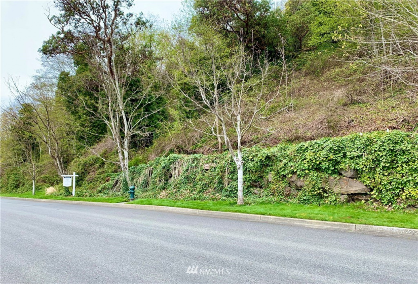 2800 Marina, Seattle, Washington 98199, ,Land,For Sale,Minors Addition,Marina,NWM1750395