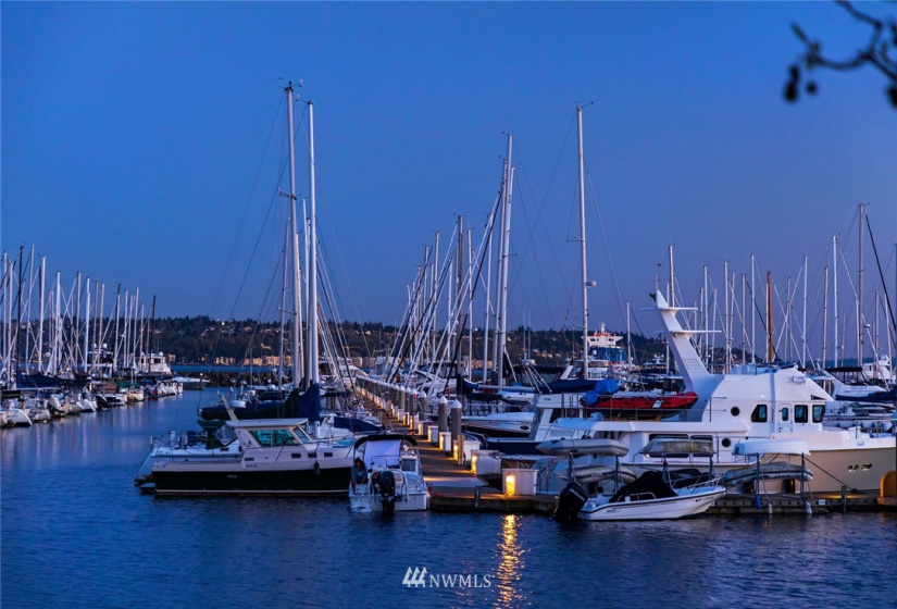 2800 Marina, Seattle, Washington 98199, ,Land,For Sale,Minors Addition,Marina,NWM1750395