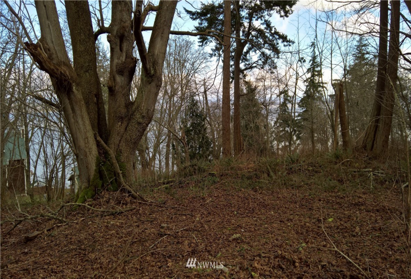 5152 K Beach, Hat Island, Washington 98206, ,Land,For Sale,Beach,NWM1758123