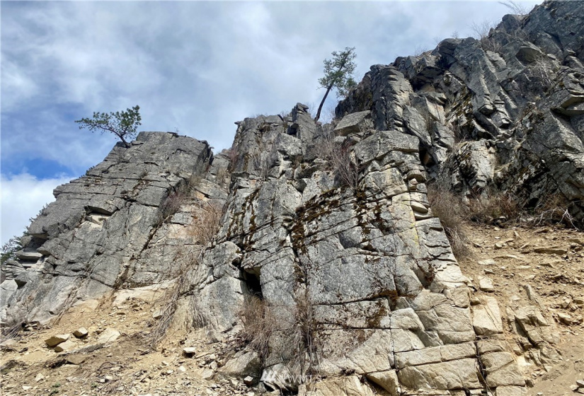 0 East Sanpoil, Keller, Washington 99140, ,Land,For Sale,East Sanpoil,NWM1759855