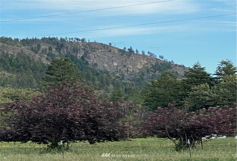 0 East Sanpoil, Keller, Washington 99140, ,Land,For Sale,East Sanpoil,NWM1759855