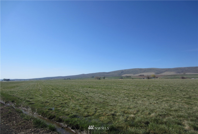 411 Rolling Hill, Ellensburg, Washington 98926, ,Land,For Sale,The Ridge at Badger Pocket,Rolling Hill,NWM1762717