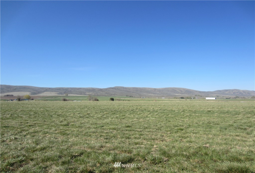 411 Rolling Hill, Ellensburg, Washington 98926, ,Land,For Sale,The Ridge at Badger Pocket,Rolling Hill,NWM1762717