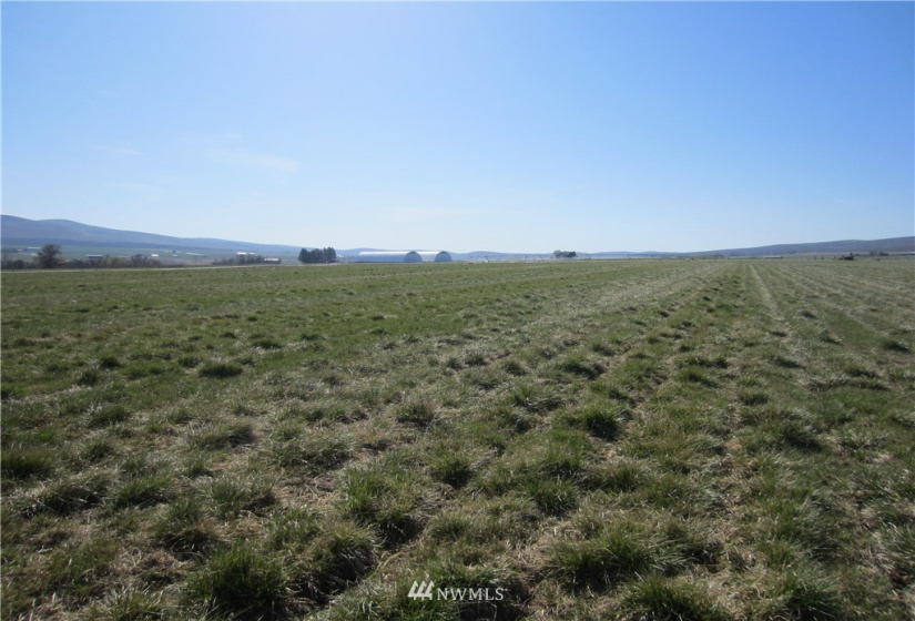 411 Rolling Hill, Ellensburg, Washington 98926, ,Land,For Sale,The Ridge at Badger Pocket,Rolling Hill,NWM1762717