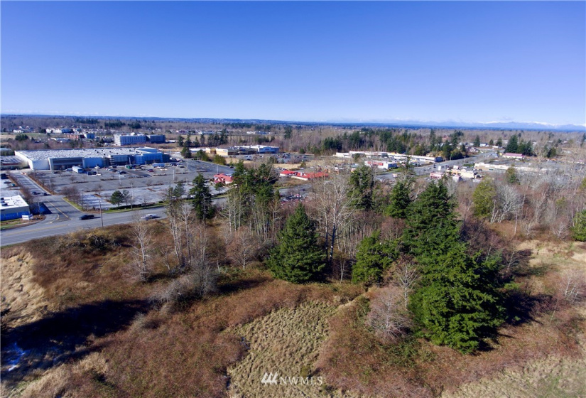 4346 Guide Meridian, Bellingham, Washington 98226, ,Land,For Sale,Guide Meridian,NWM1763060