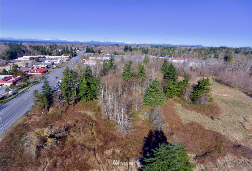 4346 Guide Meridian, Bellingham, Washington 98226, ,Land,For Sale,Guide Meridian,NWM1763060