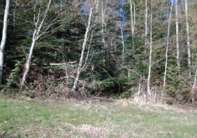0 A, Anacortes, Washington 98221, ,Land,For Sale,Un-named,A,NWM1578547