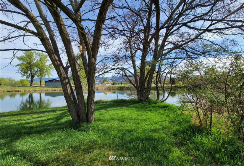 1517 Alder, Oroville, Washington 98844, ,Land,For Sale,Alder,NWM1766052