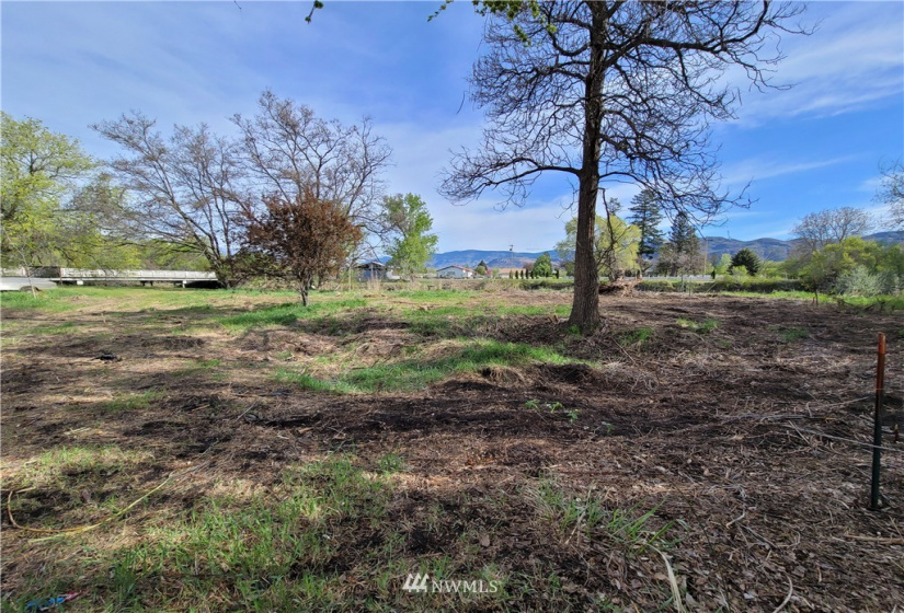 1517 Alder, Oroville, Washington 98844, ,Land,For Sale,Alder,NWM1766052