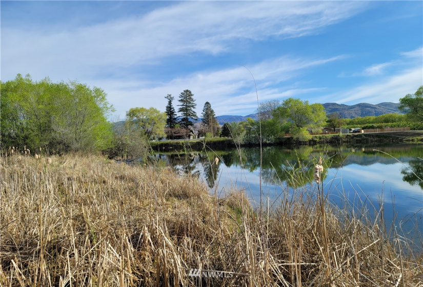 1515 Alder, Oroville, Washington 98844, ,Land,For Sale,Alder,NWM1766032