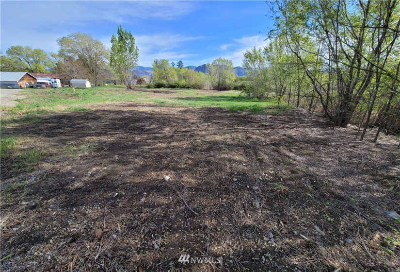 1511 Alder, Oroville, Washington 98844, ,Land,For Sale,Alder,NWM1765927