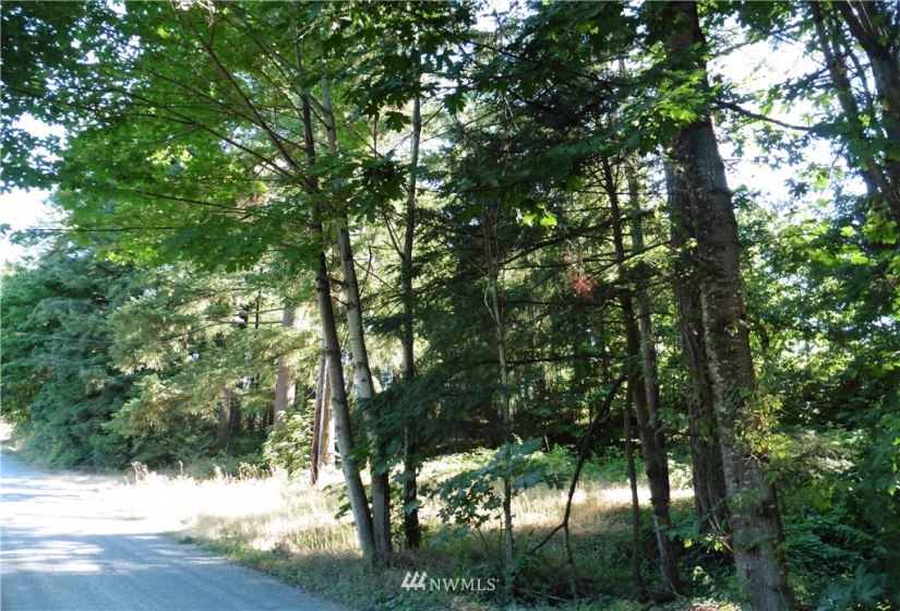 27226 207th, Maple Valley, Washington 98038, ,Land,For Sale,207th,NWM1757202