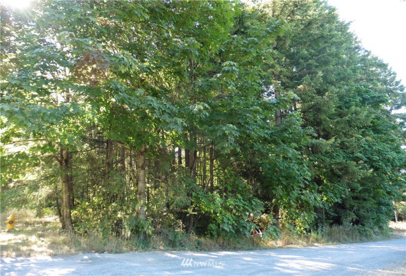 27226 207th, Maple Valley, Washington 98038, ,Land,For Sale,207th,NWM1757202