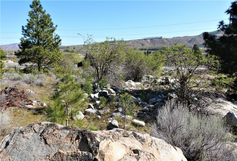 15299 Lakeview, Entiat, Washington 98822, ,Land,For Sale,Shadow Ridge,Lakeview,NWM1766592