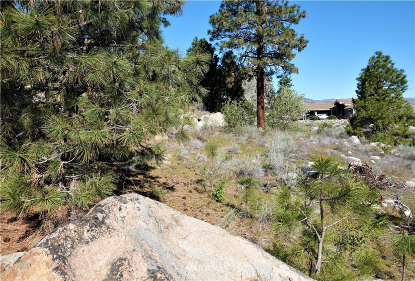 15299 Lakeview, Entiat, Washington 98822, ,Land,For Sale,Shadow Ridge,Lakeview,NWM1766592