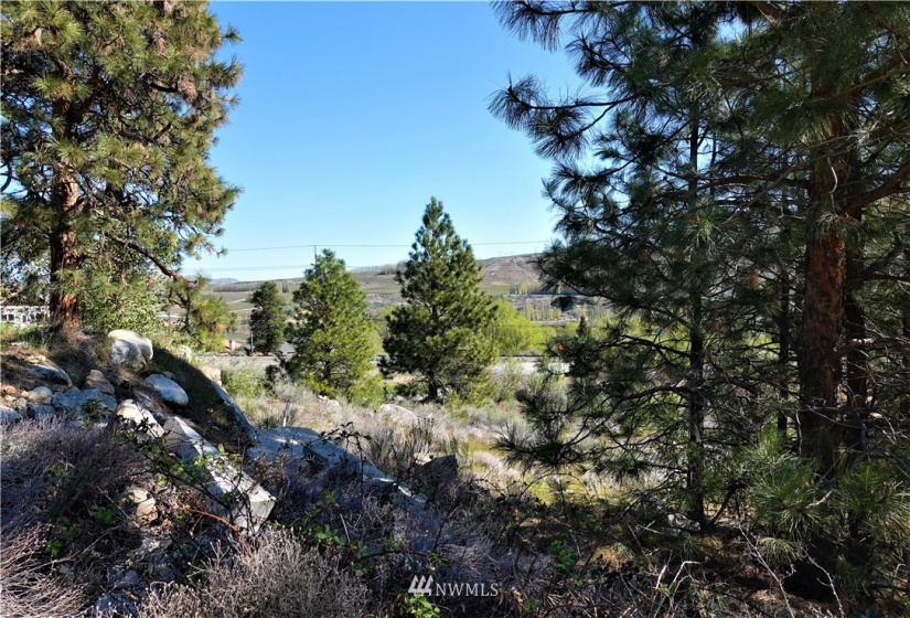 15299 Lakeview, Entiat, Washington 98822, ,Land,For Sale,Shadow Ridge,Lakeview,NWM1766592