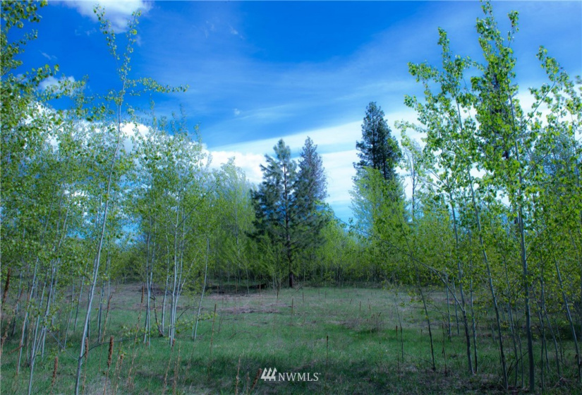 89 B Whiterock, Okanogan, Washington 98840, ,Land,For Sale,Whiterock,NWM1767311