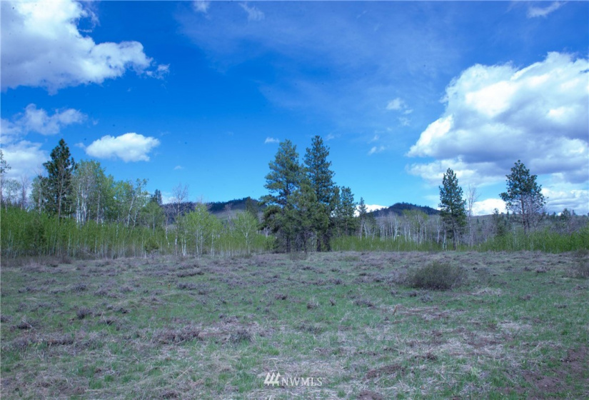 89 B Whiterock, Okanogan, Washington 98840, ,Land,For Sale,Whiterock,NWM1767311