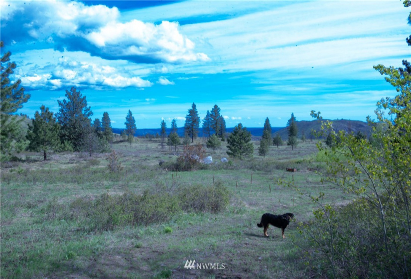 89 B Whiterock, Okanogan, Washington 98840, ,Land,For Sale,Whiterock,NWM1767311