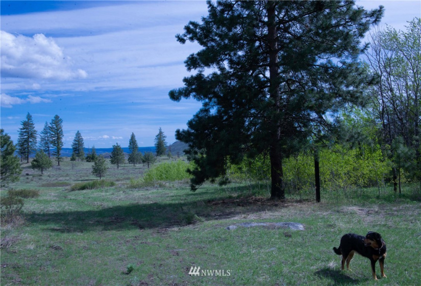 89 B Whiterock, Okanogan, Washington 98840, ,Land,For Sale,Whiterock,NWM1767311