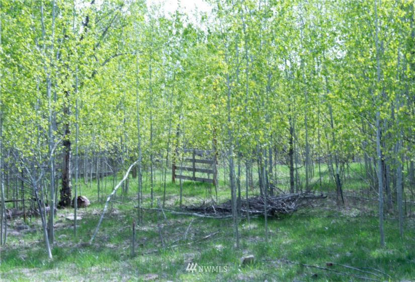 89 B Whiterock, Okanogan, Washington 98840, ,Land,For Sale,Whiterock,NWM1767311