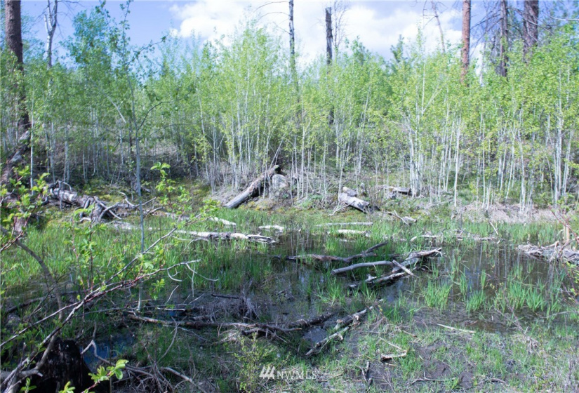 89 B Whiterock, Okanogan, Washington 98840, ,Land,For Sale,Whiterock,NWM1767311