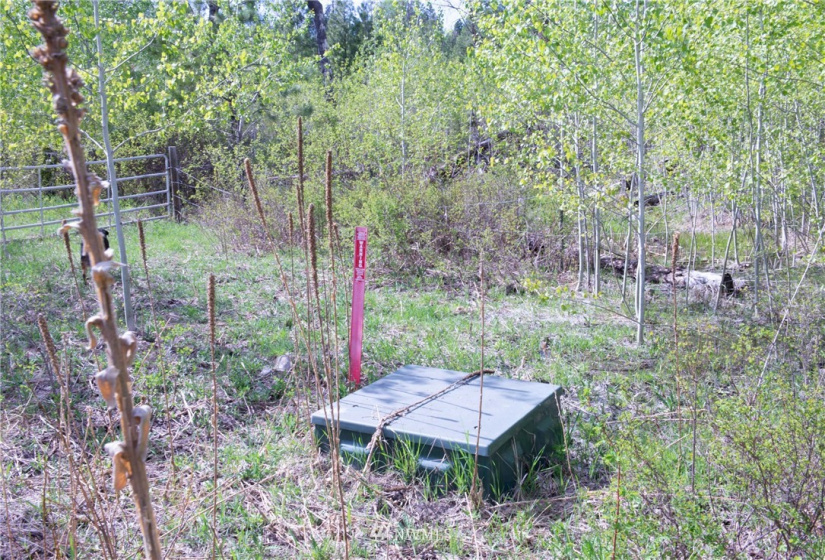 89 B Whiterock, Okanogan, Washington 98840, ,Land,For Sale,Whiterock,NWM1767311