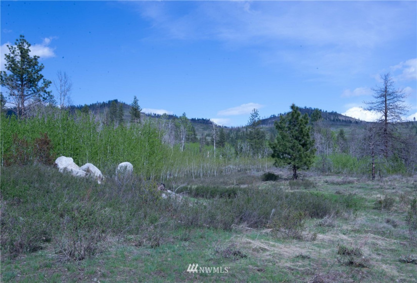 89 B Whiterock, Okanogan, Washington 98840, ,Land,For Sale,Whiterock,NWM1767311