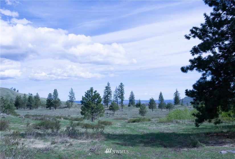 89 B Whiterock, Okanogan, Washington 98840, ,Land,For Sale,Whiterock,NWM1767311