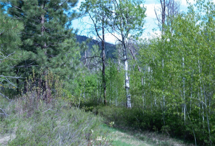89 B Whiterock, Okanogan, Washington 98840, ,Land,For Sale,Whiterock,NWM1767311