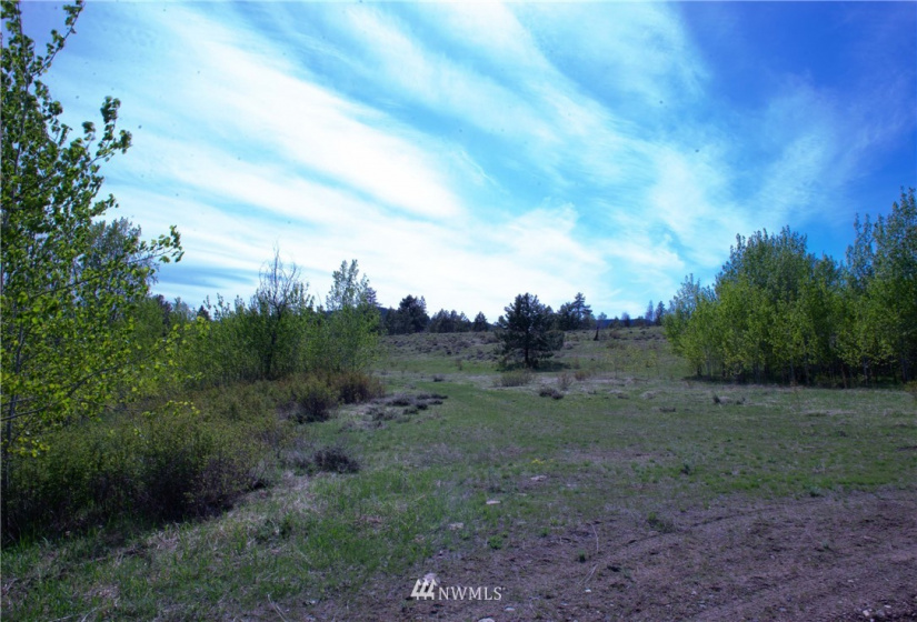 89 B Whiterock, Okanogan, Washington 98840, ,Land,For Sale,Whiterock,NWM1767311