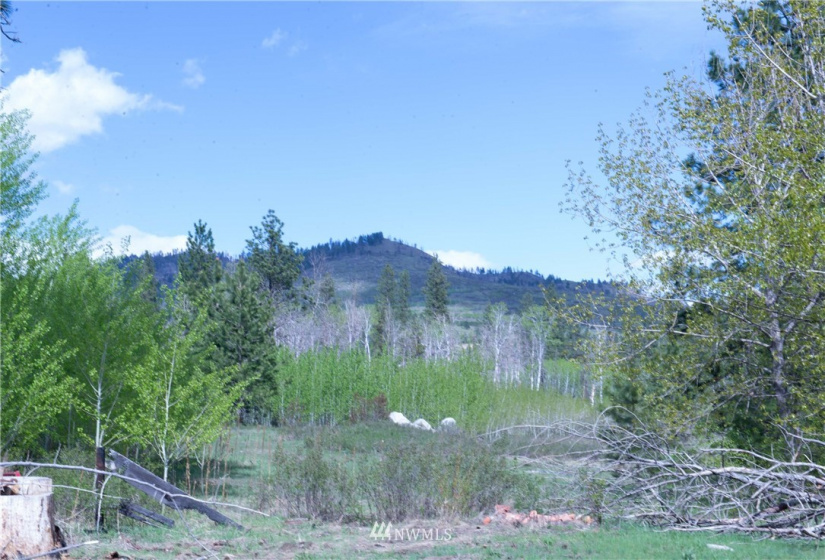 89 B Whiterock, Okanogan, Washington 98840, ,Land,For Sale,Whiterock,NWM1767311