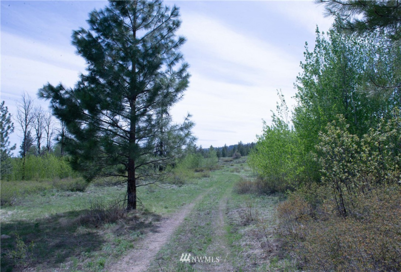 89 B Whiterock, Okanogan, Washington 98840, ,Land,For Sale,Whiterock,NWM1767311